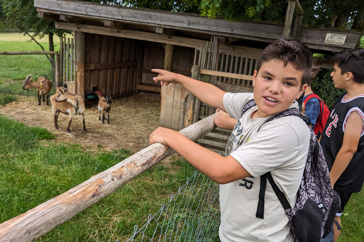 Ziegen stehen in einem Gehege und ein Junge zeigt auf diese hinter einem Zaun